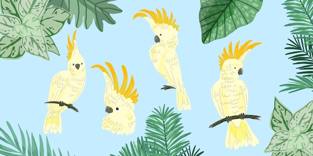 Vector four cute kakadu tropical birds hand drawn