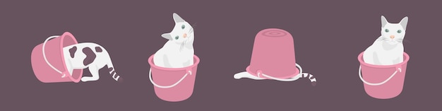 four fat cat confused in Bucket background Pink