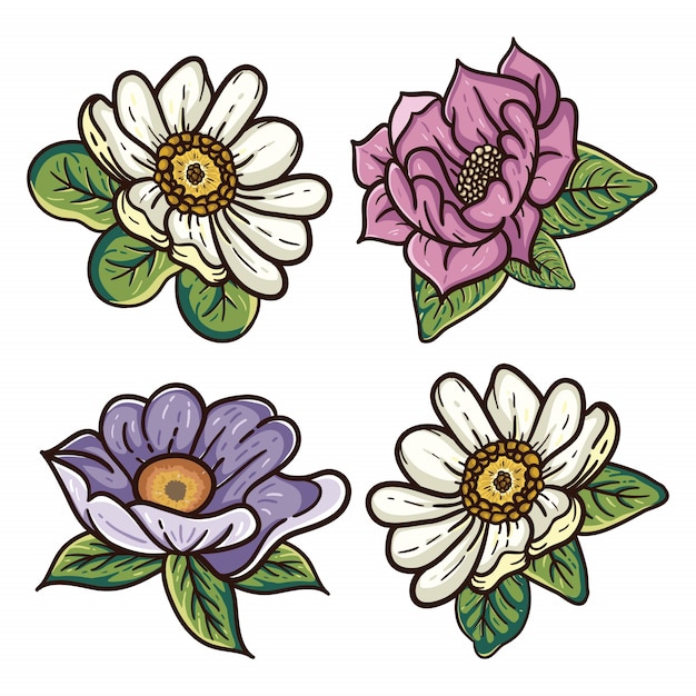 Four floral illustrations