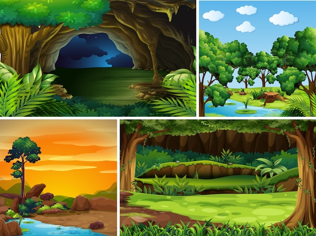 Four forest scenes at different time of day