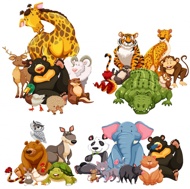 Vector four group of wild animals