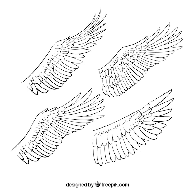 Vector four hand drawn wings