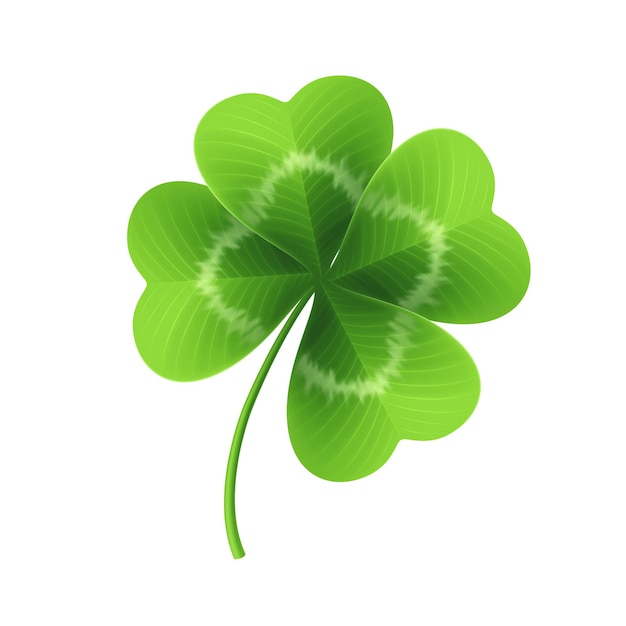 Four leaf clover isolated