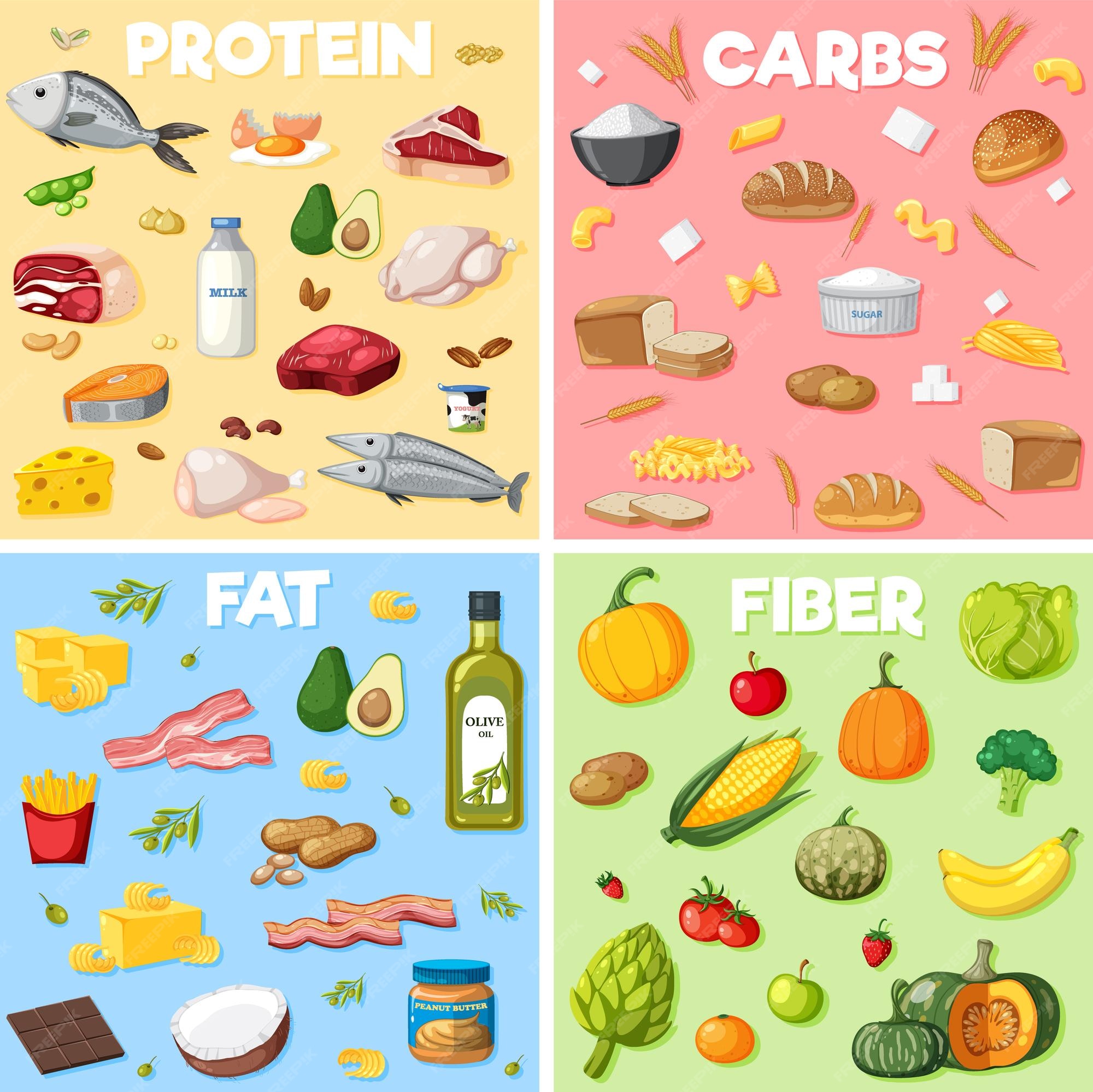 premium-vector-the-four-main-food-groups