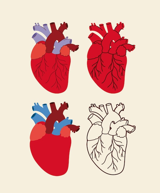 Four nice hearts