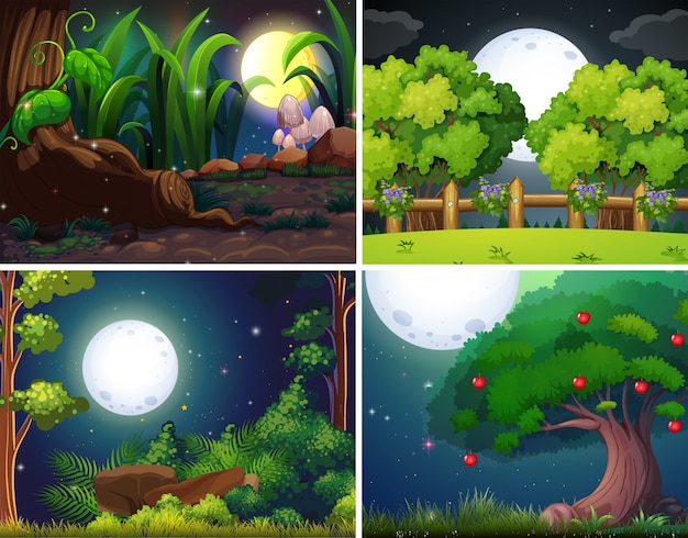 Quattro scene notturne della foresta e del parco