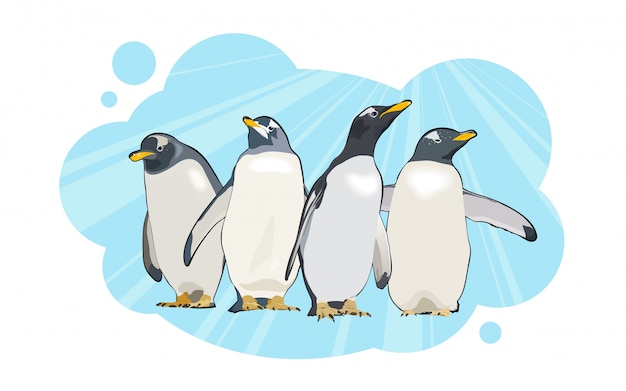 Vector four penguins characters on a blue background.  illustration