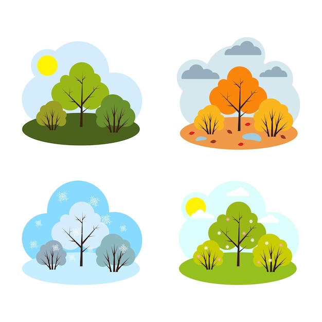four seasons summer autumn winter spring on a tree