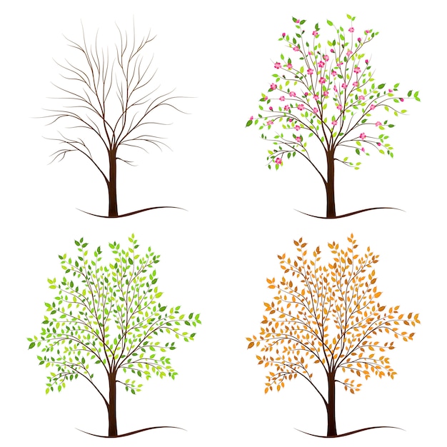 four seasons trees