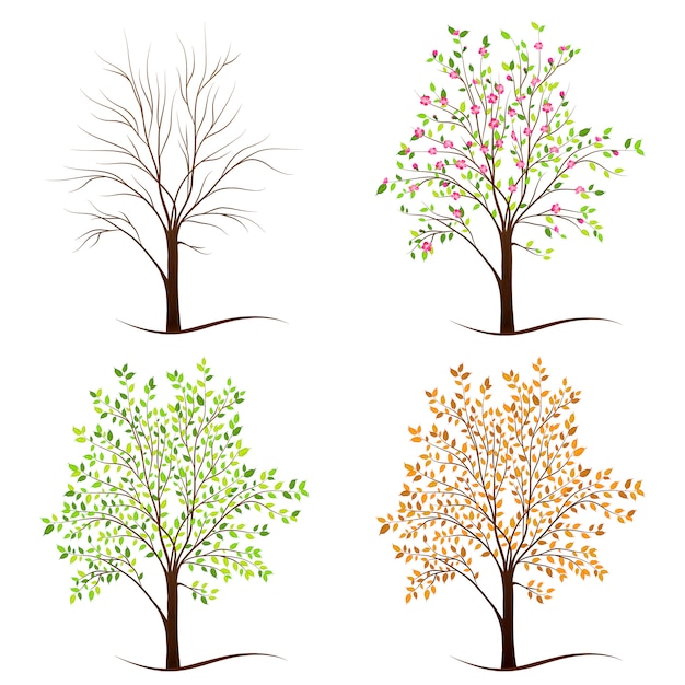 Vector four seasons trees