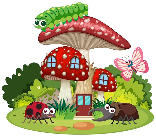 Four types of insects on mushroom house