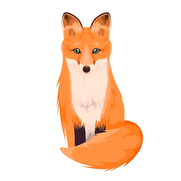 A fox in cartoon style on a white background