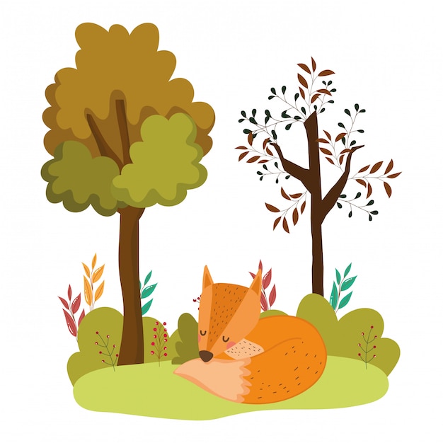 Fox cartoon vector ontwerp vectorillustratie