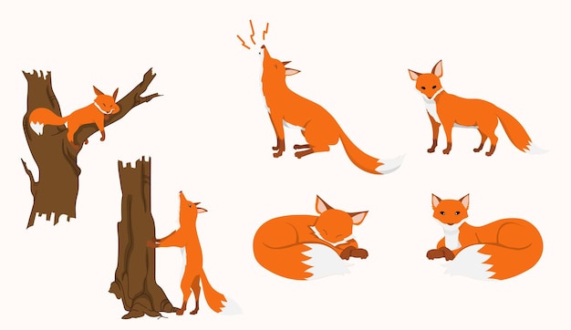 Fox character in 6 action