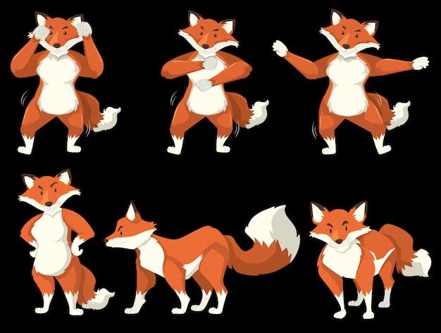 Vector fox character dance position