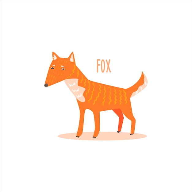 Fox Drawing For Arctic Animals Collection Of Flat Vector Illustration In Creative Style On White Background