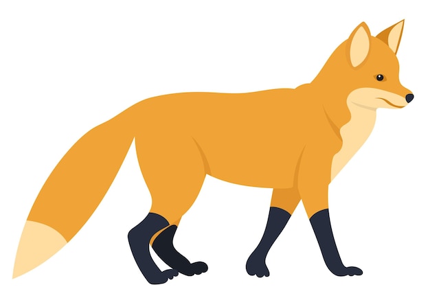 Fox flat design isolated on white background vector