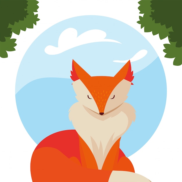 Vector fox mammal happy autumn season flat