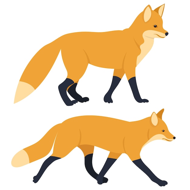 Fox plat ontwerp geïsoleerd op een witte achtergrond vector