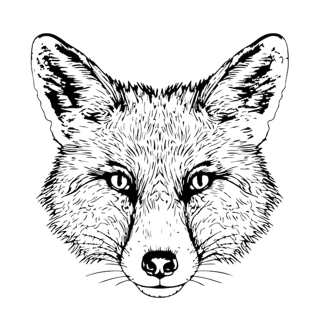 Vector fox portrait sketch hand drawn in doodle style illustration