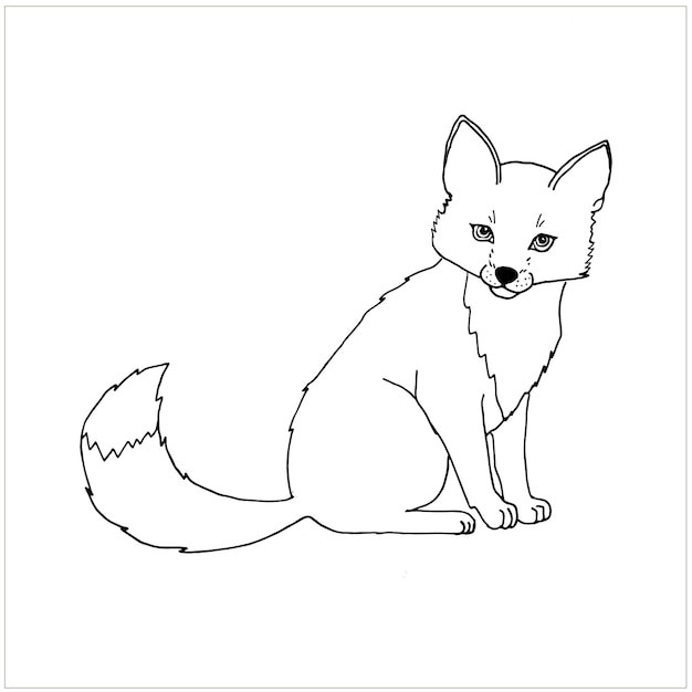 Fox sitting doodle illustration Coloring book for children Simple black hand drawing for decoration