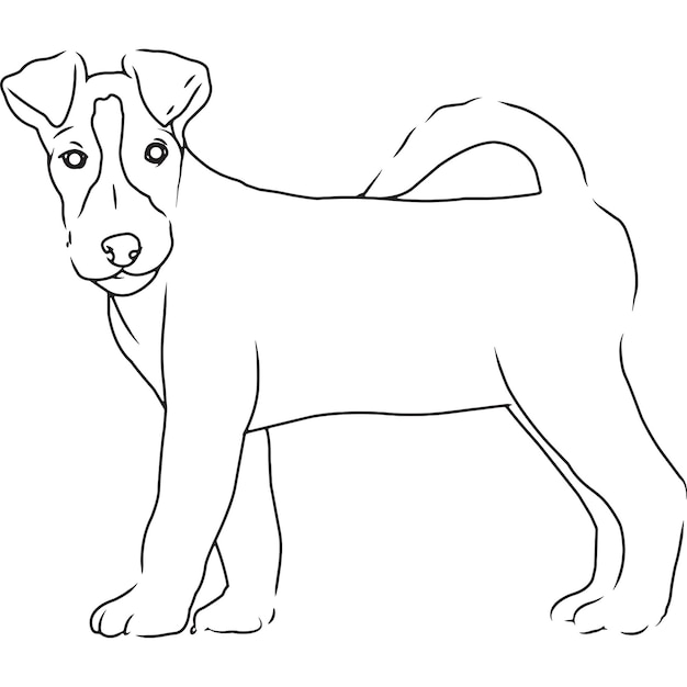 Fox Terrier Dog Hand Sketched Vector Drawing