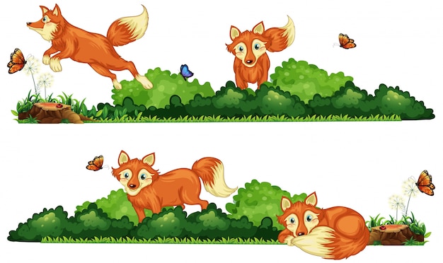 Vector foxes resting in the field