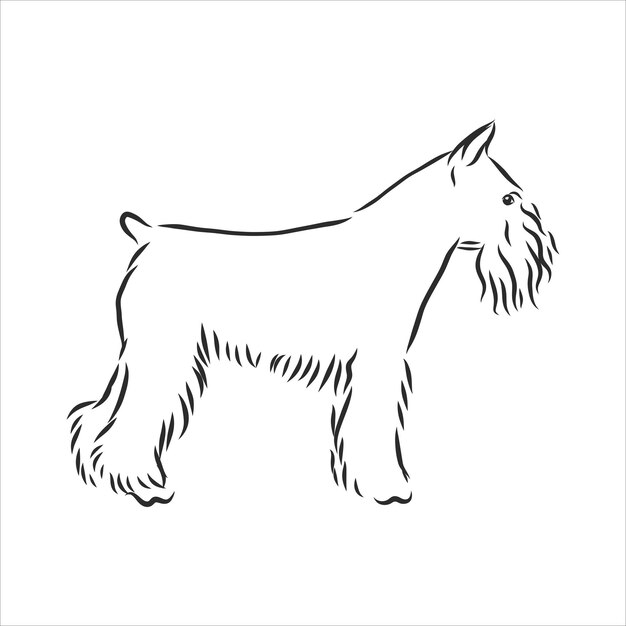 Foxterrier dog sketch, contour vector illustration, hand drawing