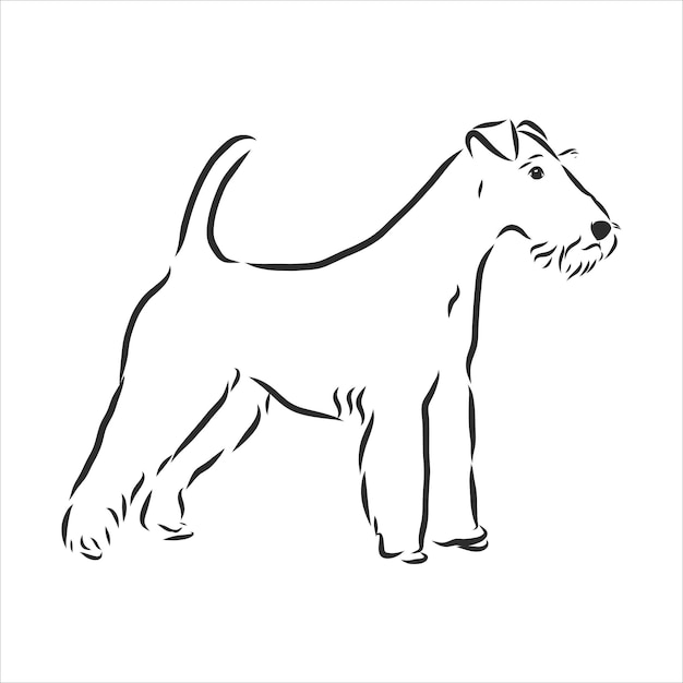 Schizzo di cane foxterrier, illustrazione vettoriale di contorno, disegno a mano