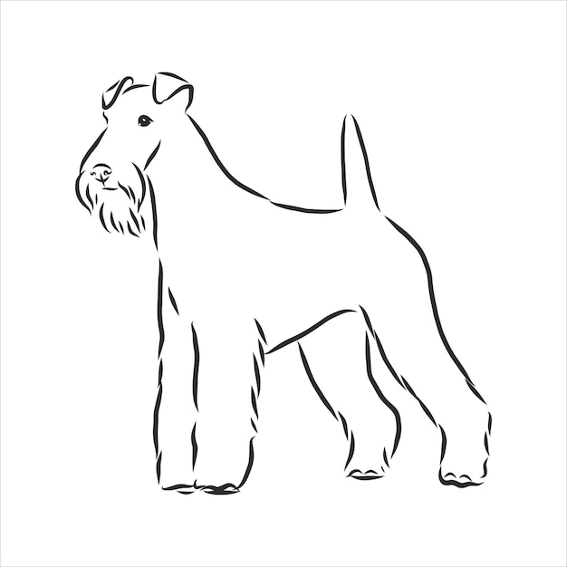 Foxterrier hond schets, contour vectorillustratie, hand tekenen