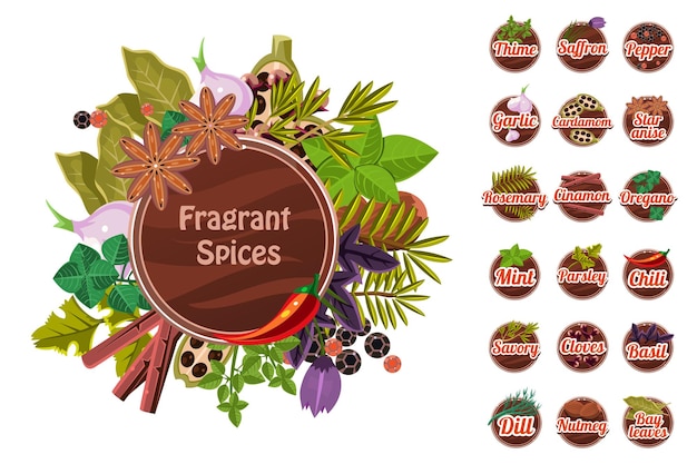 fragrant spices set thyme saffron pepper garlic cardamom star anise rosemary cinnamon oregano mint