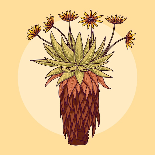 Frailejon plant illustratie