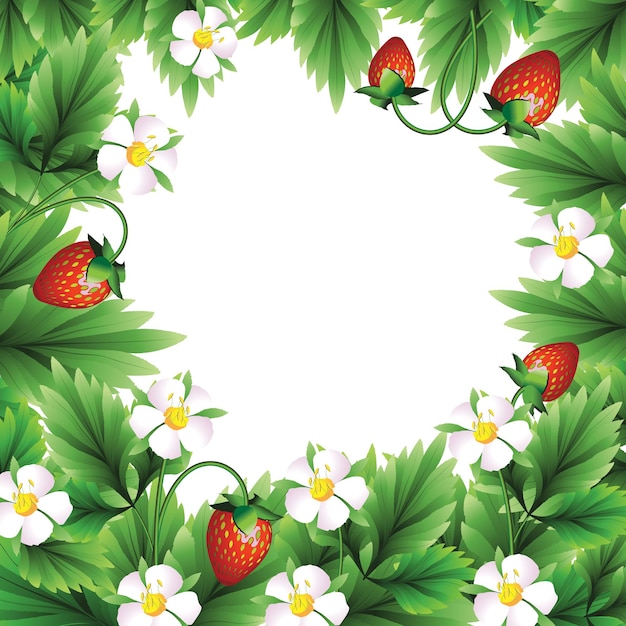 Frame of berries, leaves and strawberry flowers