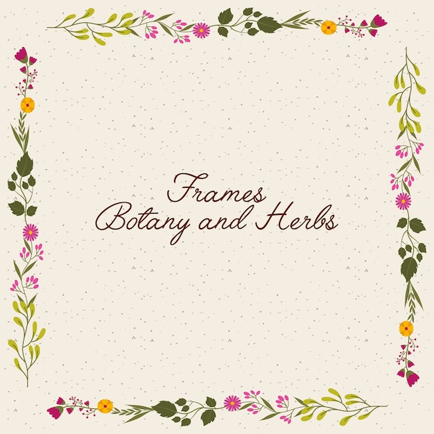 frame botany and herbs