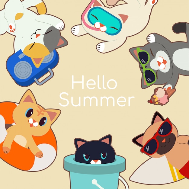 Frame of cute cats in summer theme.