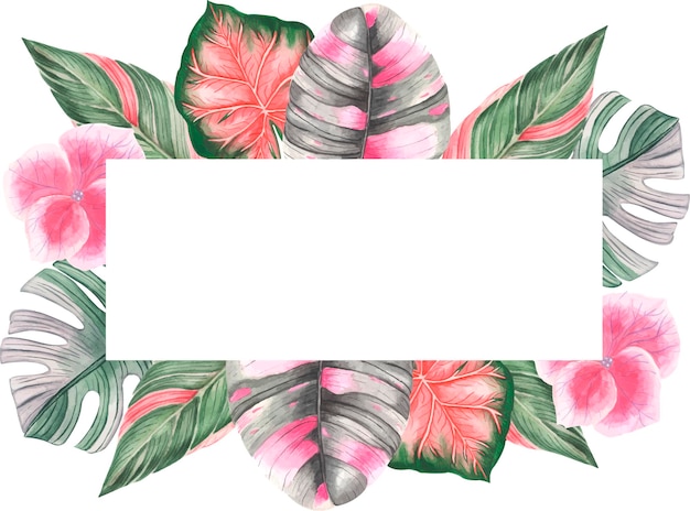 Frame for design with tropical leaves