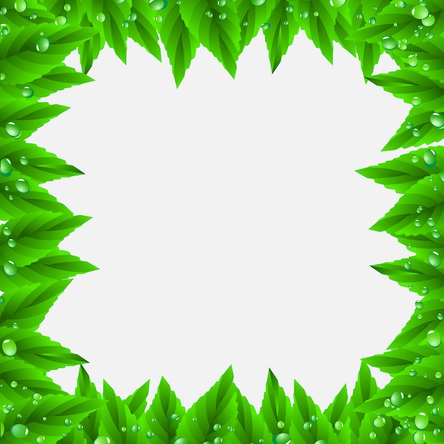 Frame of green leaves