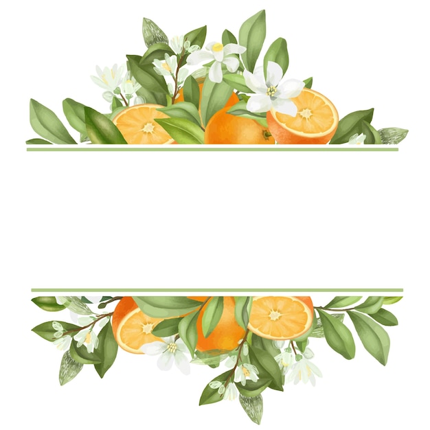 Vector frame of hand drawn blooming orange tree branches, flowers, oranges on white background