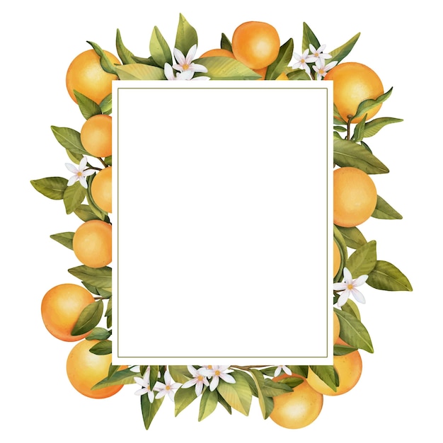 Frame of hand drawn watercolor blooming orange tree branches flowers and orange