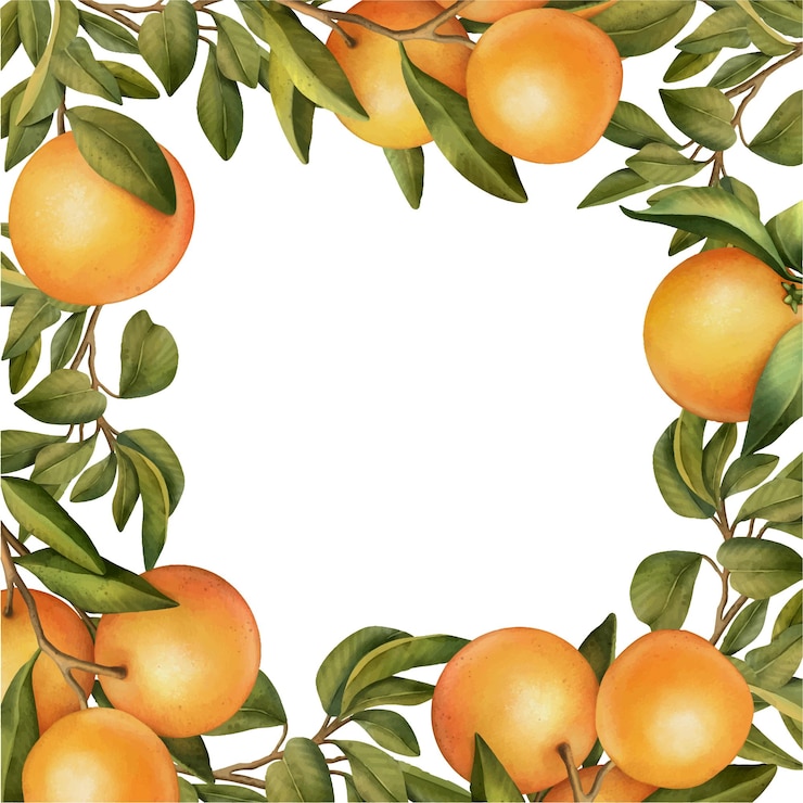 Vector frame of hand drawn watercolor blooming orange tree branches and orange