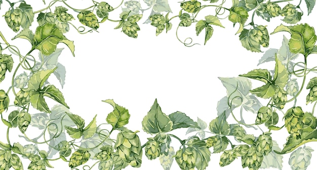 Frame of hop vine plant humulus watercolor illustration isolated on white background