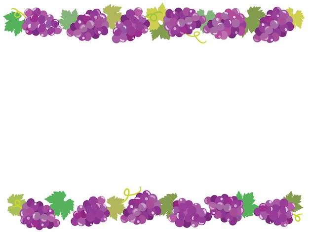 Frame illustration of the grape