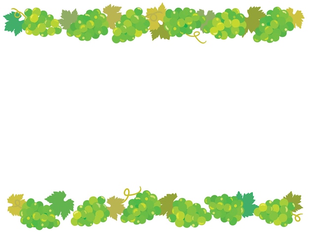 Frame illustration of the grape