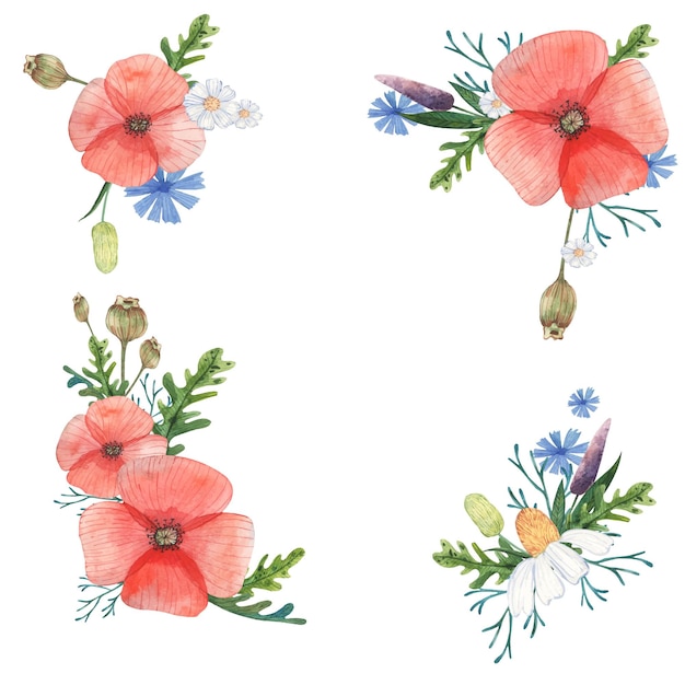 프레임은 양귀비, 카모마일, 세이지 및 치커리 꽃으로 장식되어 있습니다.