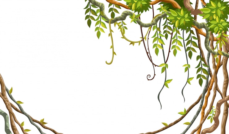 Vector frame liana branches and tropical leaves.