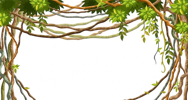 Vector frame of liana branches and tropical leaves.