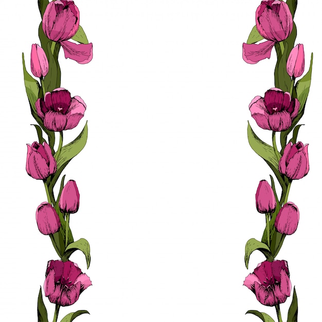 Frame met gekleurde roze tulpen