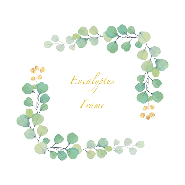 Vector frame met groene eucalyptusbladeren voor ontwerpwenskaart