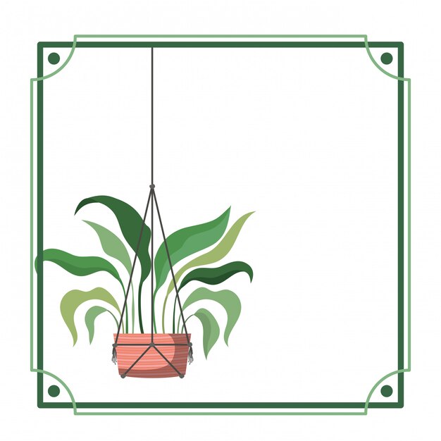 Frame met kamerplant op macramé hangers