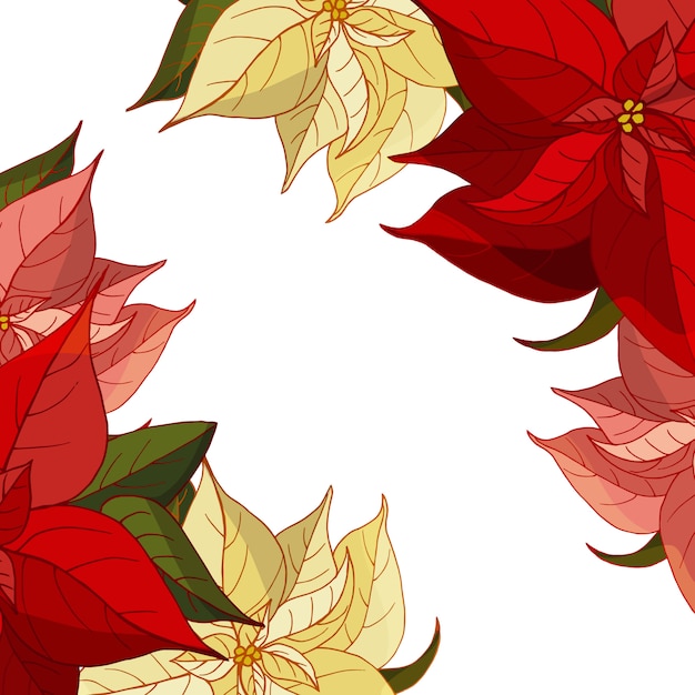 Vector frame met poinsettia op witte achtergrond